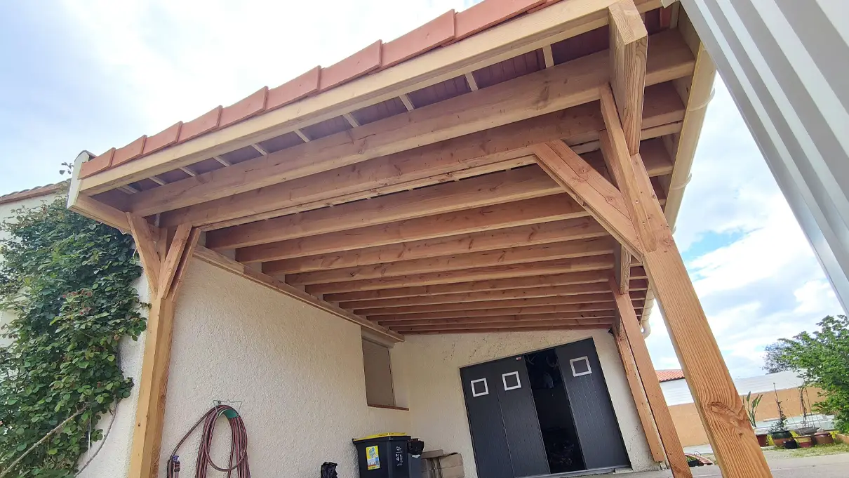 Carport douglas Sorède